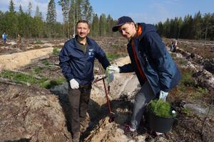 В России стартует третья ежегодная акция «Сохраним лес»