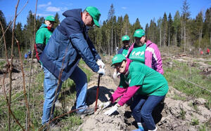Всероссийский день посадки леса прошёл в Ленобласти.
