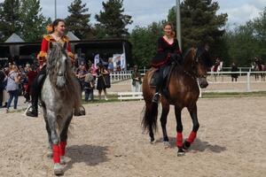 Международная конная выставка «Иппосфера» 