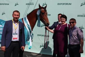 Международная конная выставка «Иппосфера»